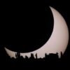APOD: 2026 August 9 – Contemplating the Sun – NASA Science