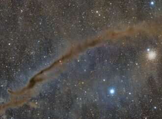 APOD: 2026 July 31 – NGC 4372 and the Dark Doodad – NASA Science