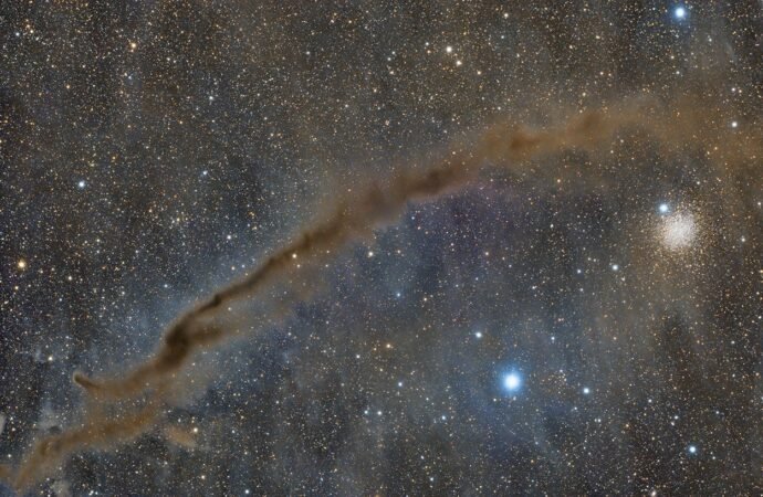 APOD: 2026 July 31 – NGC 4372 and the Dark Doodad – NASA Science