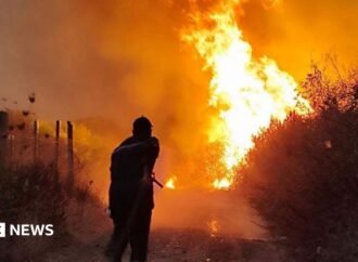 Algeria forest fires: President Abdelmadjid Tebboune seeks death penalty for arsonists