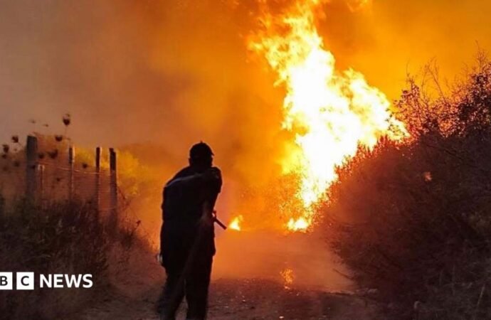 Algeria forest fires: President Abdelmadjid Tebboune seeks death penalty for arsonists