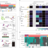 An expanded codebook of human transcription factor DNA-binding specificity – Nature