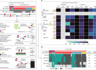 An expanded codebook of human transcription factor DNA-binding specificity – Nature