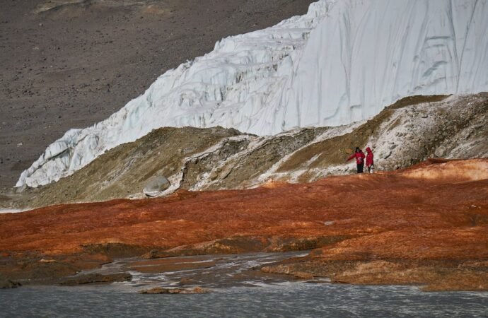 Antarctica’s Blood Falls teems with life from unexpected source