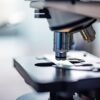 Anthropic makes first move into physical AI with universal standard that could bring scientific labs to life | Fortune