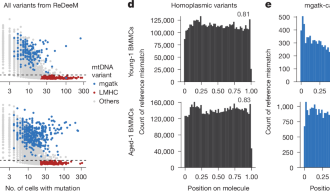 Artefacts in single-cell mtDNA analyses misinform phylogenies – Nature