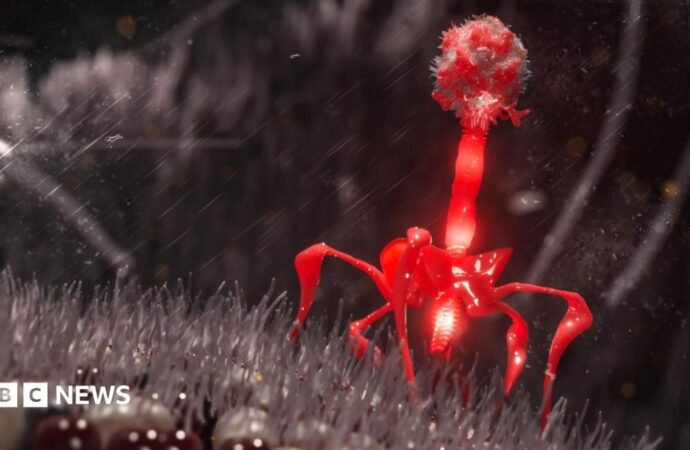 Artificial Intelligence used to design brand new viruses