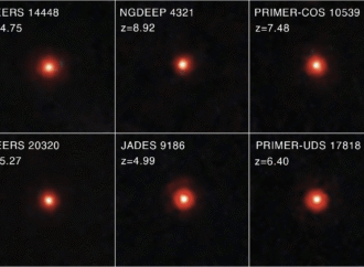 Astronomers Discover the Existence of a Black Hole Star
