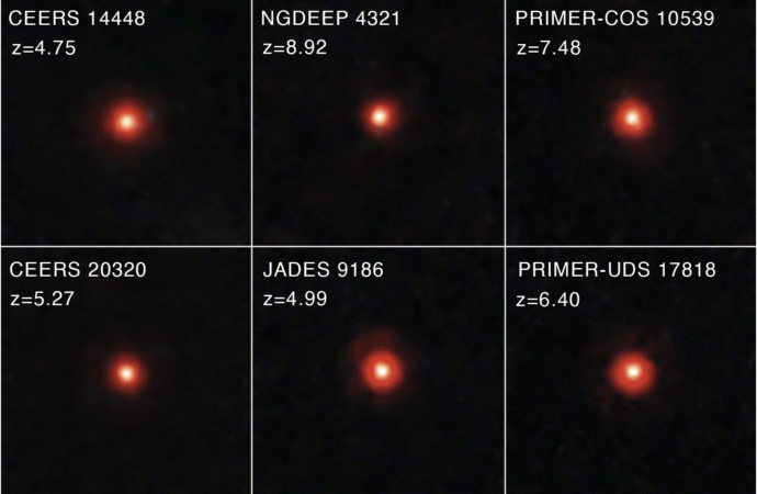Astronomers Discover the Existence of a Black Hole Star