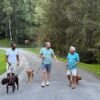 At 69, we traded our empty-nester condo in the city for a much larger house in the suburbs