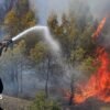 At least 12 dead as wildfires sweep through northern Algeria