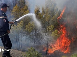At least 12 dead as wildfires sweep through northern Algeria