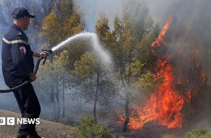 At least 12 dead as wildfires sweep through northern Algeria