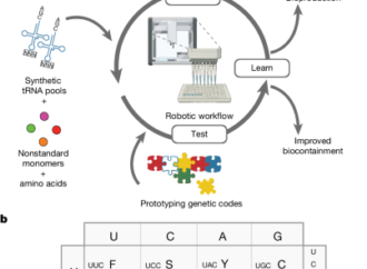 Automated prototyping of genetic codes – Nature
