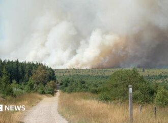 Belgian firefighters battle blaze tearing through nature reserve