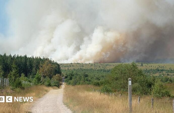 Belgian firefighters battle blaze tearing through nature reserve