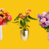 Best Flower Delivery Services 2026 – Forbes Vetted