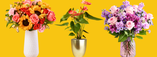 Best Flower Delivery Services 2026 – Forbes Vetted
