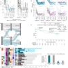 Biomarkers of nivolumab benefit in resectable non-small cell lung cancer – Nature
