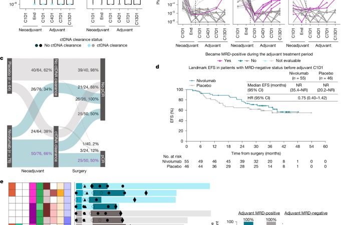 Biomarkers of nivolumab benefit in resectable non-small cell lung cancer – Nature
