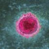 COVID can wake up a slew of dormant viruses inside you