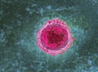 COVID can wake up a slew of dormant viruses inside you