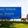 Canada installs large Lake Ontario sign in latest jab at US