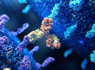 Cancer-fighting antibodies with a one-two punch take aim at tumours