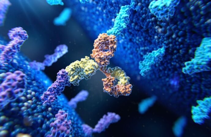 Cancer-fighting antibodies with a one-two punch take aim at tumours