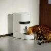 Cats and dogs are missing meals after a popular smart feeder went down