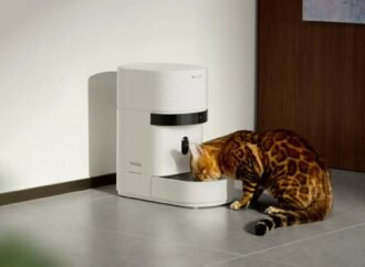 Cats and dogs are missing meals after a popular smart feeder went down