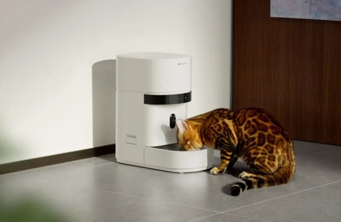 Cats and dogs are missing meals after a popular smart feeder went down