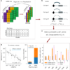 Cell-type-specific eQTLs underlie the genetic architecture of complex traits – Nature