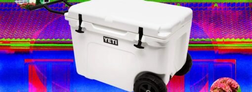 Chill Out With the Best Coolers We’ve Tried