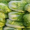 China probes use of formaldehyde to keep cabbages fresh