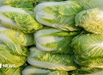 China probes use of formaldehyde to keep cabbages fresh