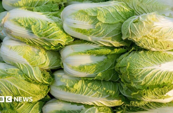 China probes use of formaldehyde to keep cabbages fresh