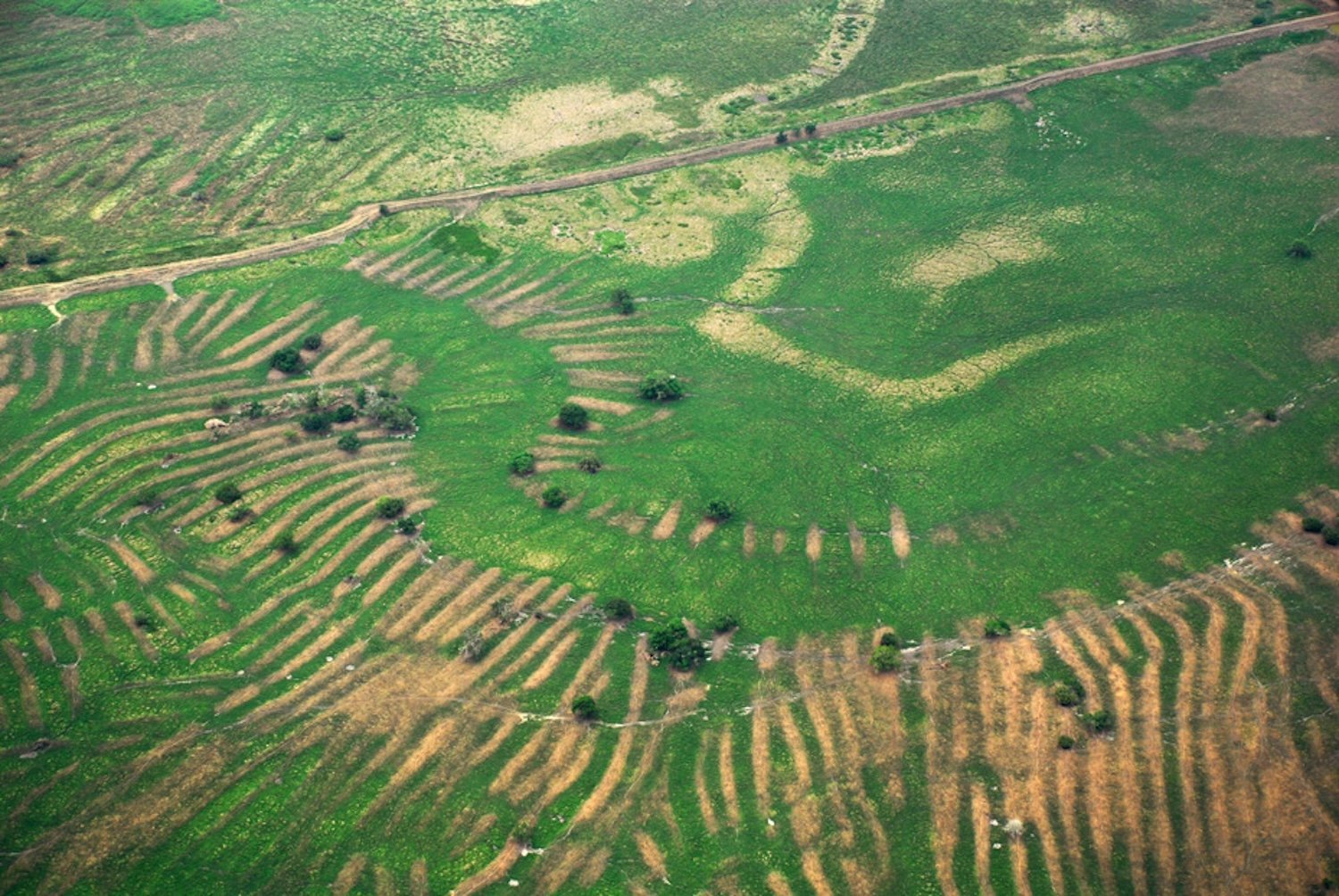 Raised fields seen during dry season