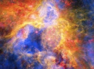 Colorful Collage of Tarantula Nebula – NASA