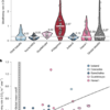Critical zone processes limit alkalinity export from natural basaltic systems – Nature
