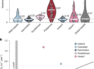 Critical zone processes limit alkalinity export from natural basaltic systems – Nature