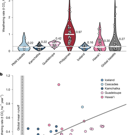 Critical zone processes limit alkalinity export from natural basaltic systems – Nature