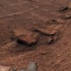 Curiosity rover spots ancient sea of Martian polygons