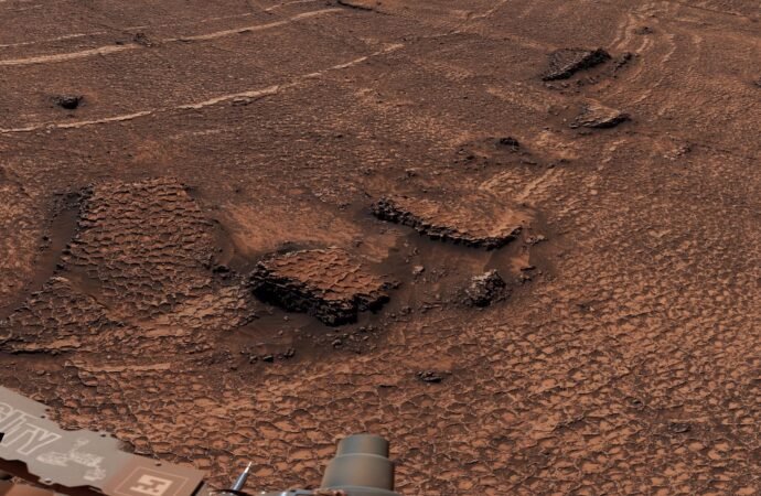 Curiosity rover spots ancient sea of Martian polygons