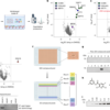 DCAF11-dependent molecular glue degrader activated by glutathionylation – Nature