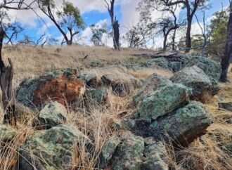 Dalaroo soil survey stretches WA copper-nickel target