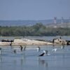 Danube River’s shrinking water levels expose dozens of World War II ships | Fortune