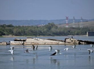 Danube River’s shrinking water levels expose dozens of World War II ships | Fortune