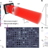 Degree-of-polarization modulation for high-dimensional optical computing – Nature