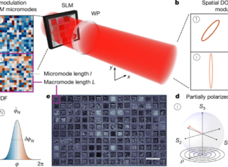 Degree-of-polarization modulation for high-dimensional optical computing – Nature